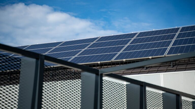Avis panneaux solaires Jolywood : fiabilité, rendement, durabilité
